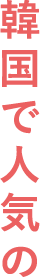 韓国で人気の