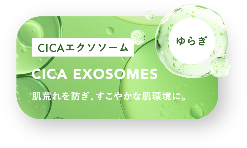 CICAエクソソーム