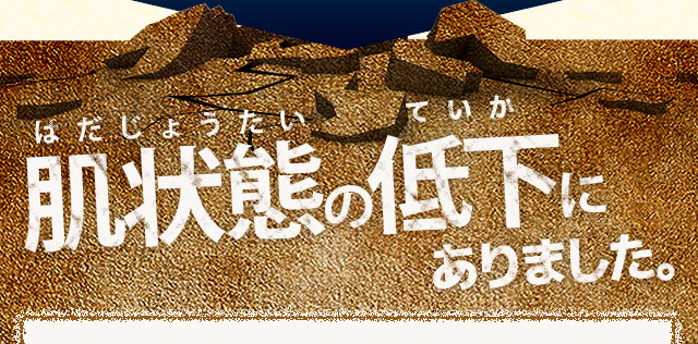 肌体力の低下にありました。