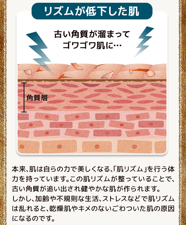 肌リズムが乱れると、乾燥肌やキメのないごわついた肌の原因になるのです。