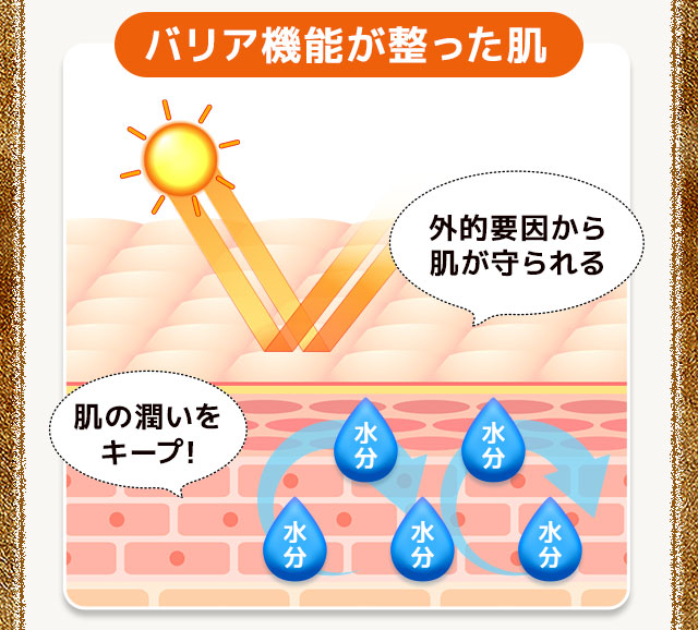 バリア機能が整った肌は外的要因から肌が守られる