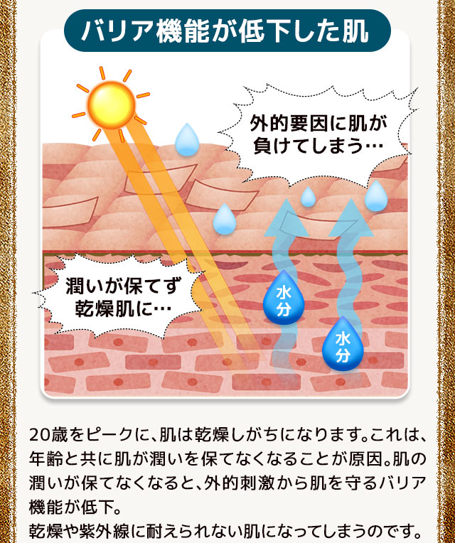 バリア機能が低下すると乾燥や紫外線などの外的刺激に耐えられない肌になってしまうのです。
