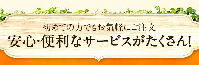 初めての方でもお気軽にご注文　安心・便利なサービスがたくさん