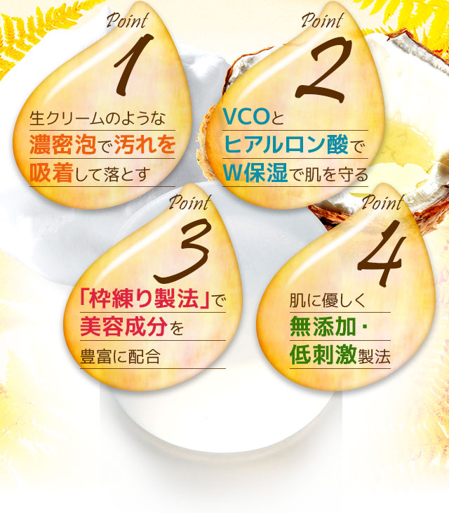 4つのポイント