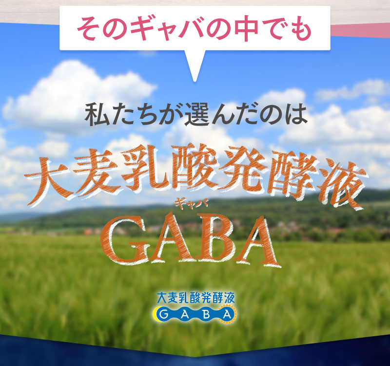 そのギャバの中でも私たちが選んだのは大麦乳酸発酵液GABA