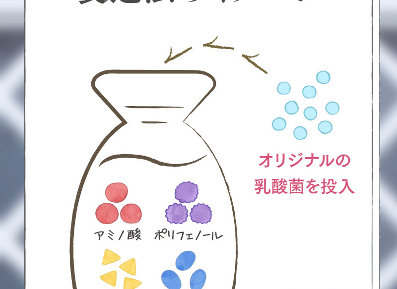 製造法のイメージ1　オリジナルの乳酸菌を投入
