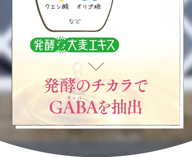 製造法のイメージ2　発酵のちからでGABAを抽出