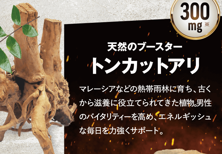天然のブースタートンカットアリ