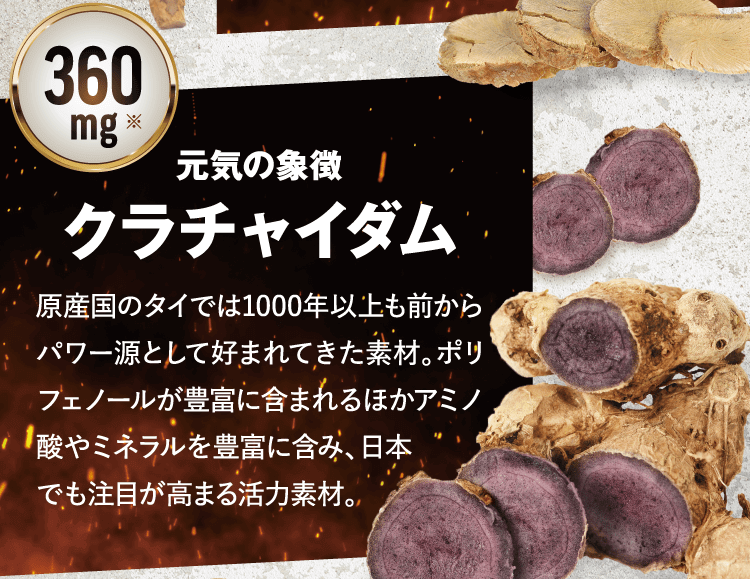 元気の象徴クラチャイダム