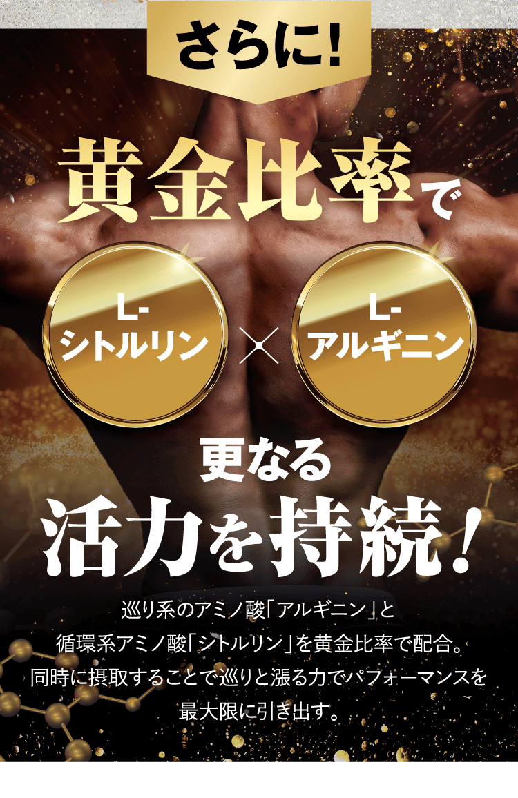 黄金比率で更なる活力を持続！