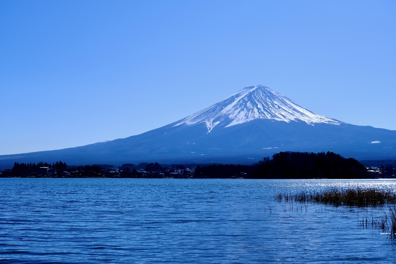 サントリー天然水ウォーターサーバーの口コミは 料金や解約方法を徹底調査 森の食卓