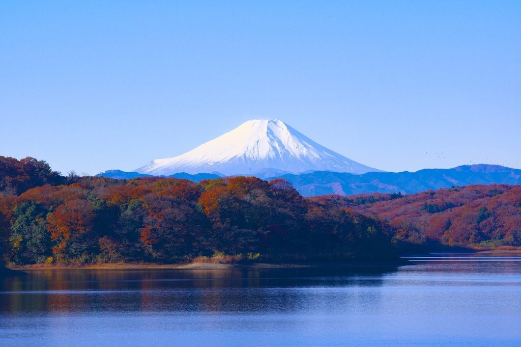 富士山の天然水を自宅で気軽に